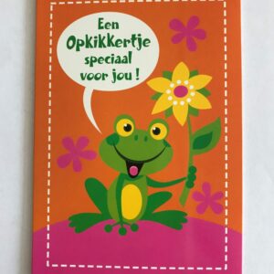 Kaartbeschrijving: Op een vrolijke fel oranje/roze gekleurde kaart staat de afbeelding van een groene kikker die een gele bloem vasthoudt. daaromheen zijn nog drie roze bloemetjes afgebeeld.