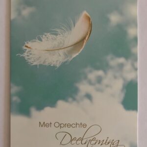 Op een lichtblauwe achtergrond staat een wolk afgebeeld met daarbij een zwevende veer.