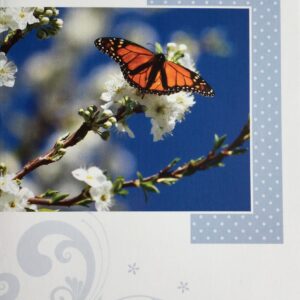Op de kaart staat "Van harte gefeliciteerd". Daarbij staat een afbeelding van een vlinder (oranje/zwart met witte stippen), zittend op een bloesemtak Verder nog wat versieringen op de kaart en onderaan 3 kleine fotootjes van twee oranje vlinders en een bloesembloem.